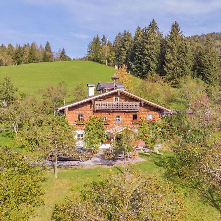 Holiday Home Oberhaslach By Interhome Abtenau Εξωτερικό φωτογραφία