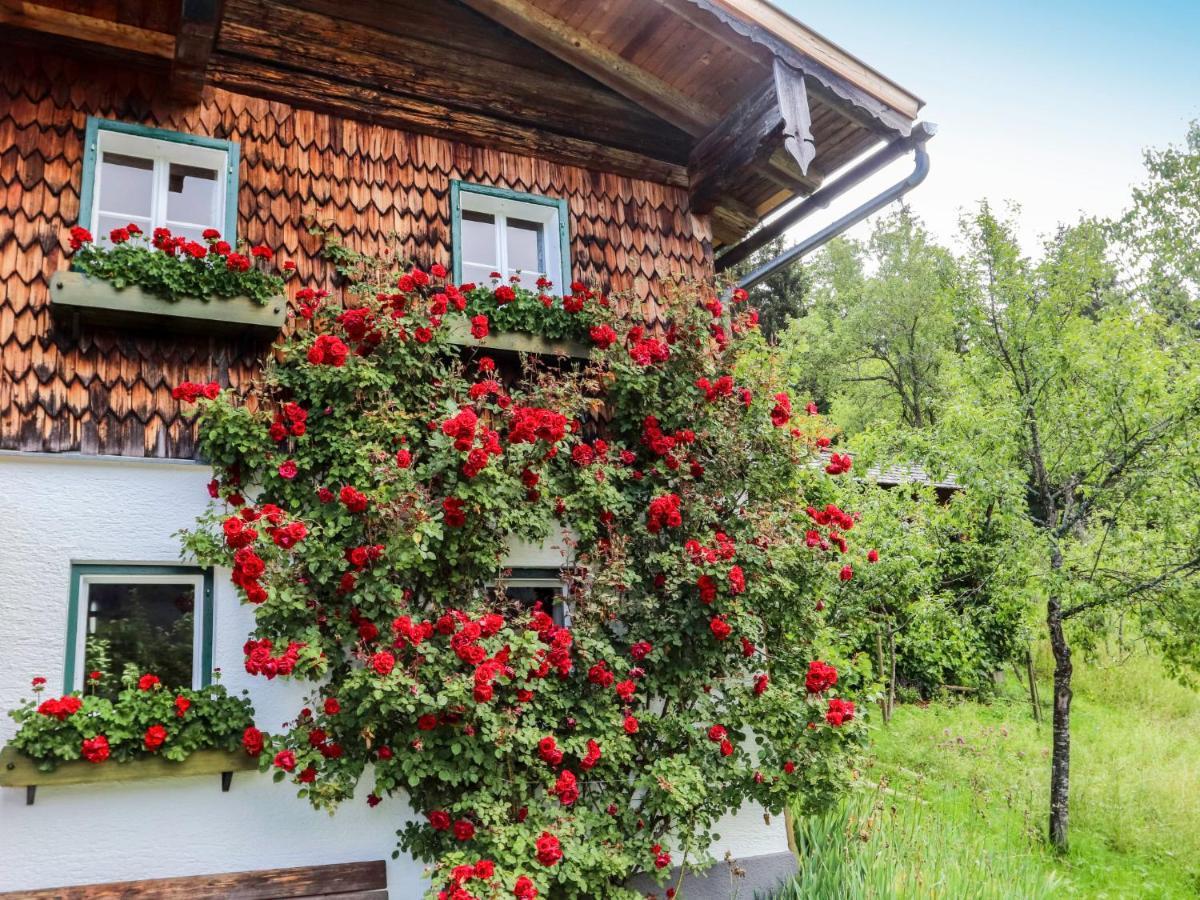 Holiday Home Oberhaslach By Interhome Abtenau Εξωτερικό φωτογραφία
