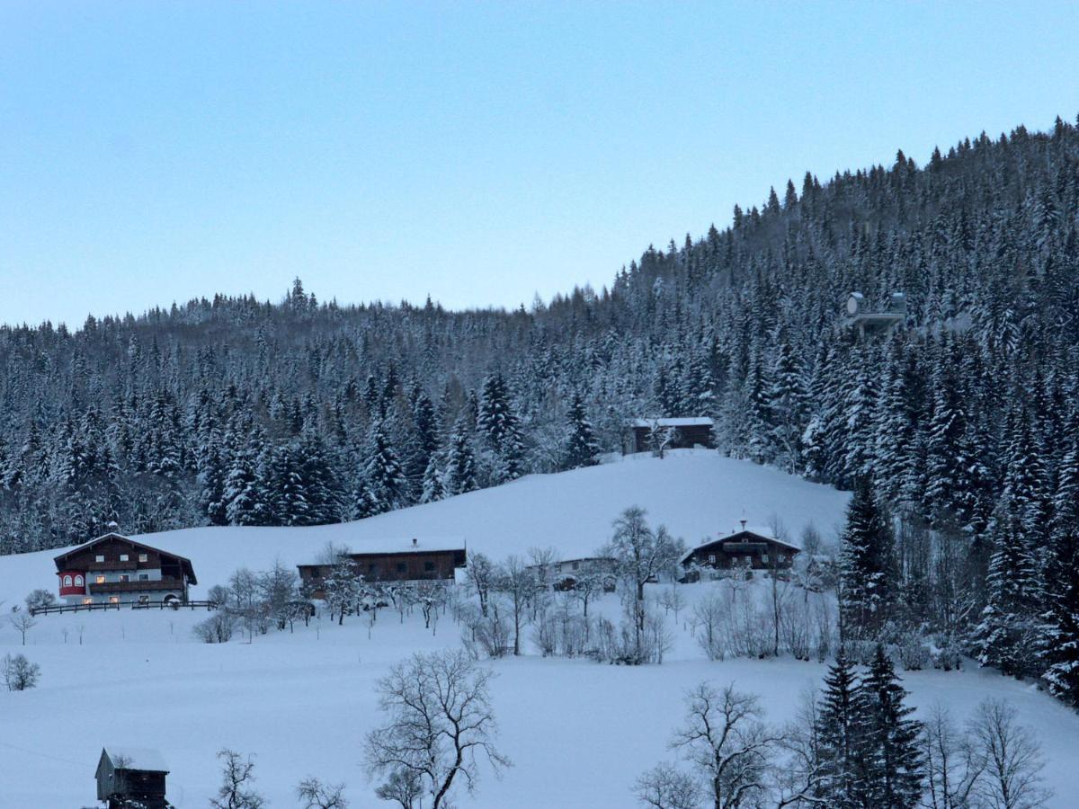 Holiday Home Oberhaslach By Interhome Abtenau Εξωτερικό φωτογραφία