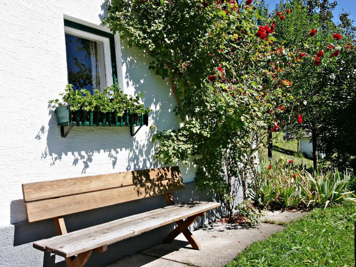 Holiday Home Oberhaslach By Interhome Abtenau Εξωτερικό φωτογραφία