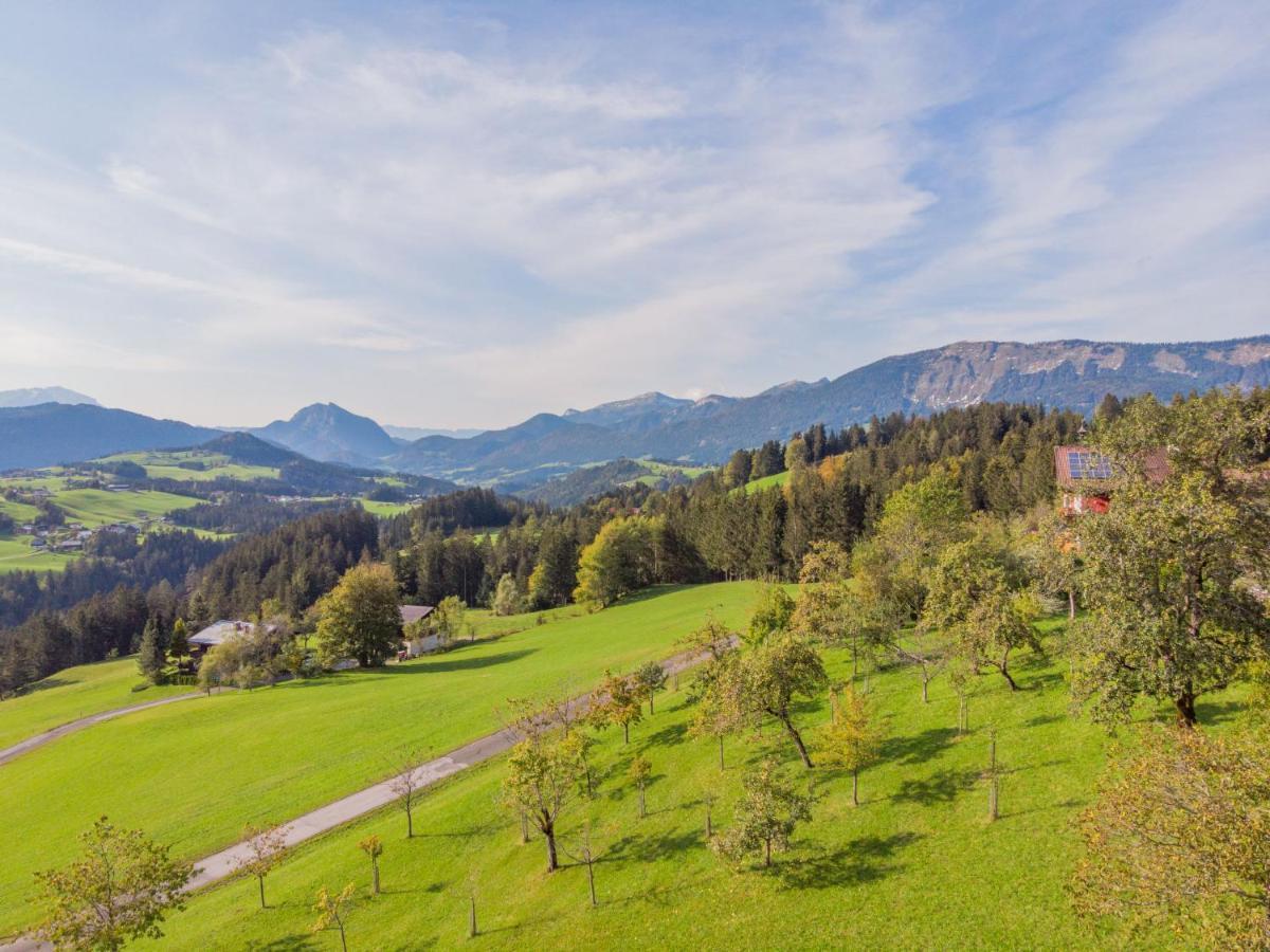Holiday Home Oberhaslach By Interhome Abtenau Εξωτερικό φωτογραφία