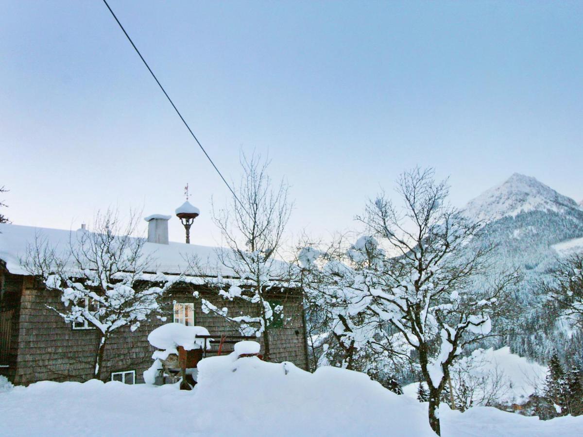 Holiday Home Oberhaslach By Interhome Abtenau Εξωτερικό φωτογραφία