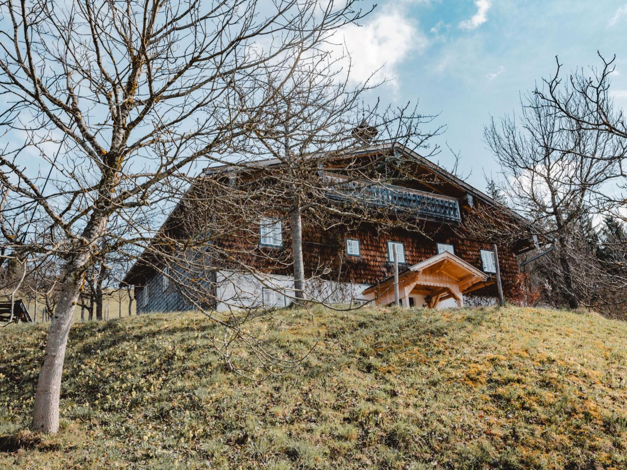 Holiday Home Oberhaslach By Interhome Abtenau Εξωτερικό φωτογραφία
